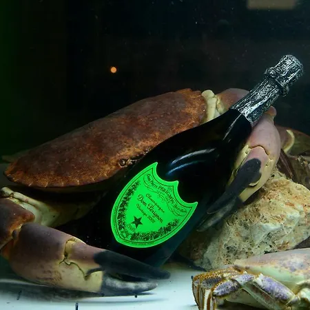 酒店 伊尔切基尼酒店 Pasiano Di Pordenone